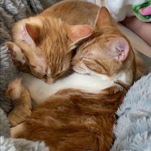 Meet your Posher, Jesse